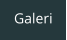 Galeri